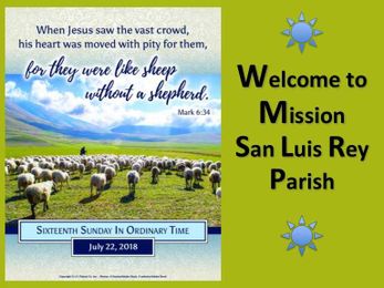 For They Were Like Sheep Without a Shepherd