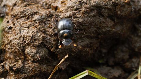 Like to Eat? Then You Should Care About Biodiversity