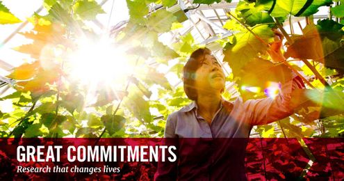 Boosting lumber industry by making trees resistant to stress and drought