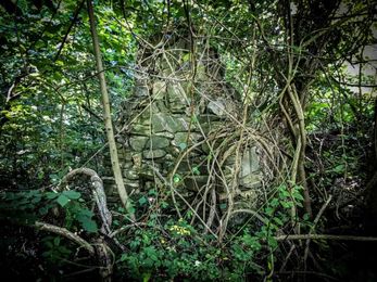 You Should Know About George Pointer