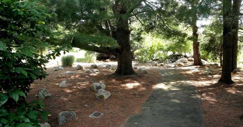 More cemeteries are going green