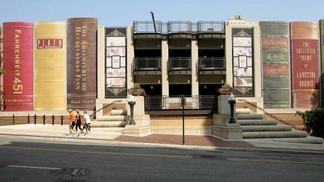 ‘They cannot be replaced by freaking Amazon.’ Why people are defending public libraries