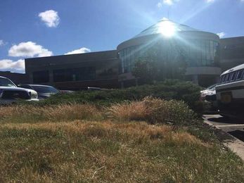 CNY's dry spell baked our lawns, but it might save us from flash floods