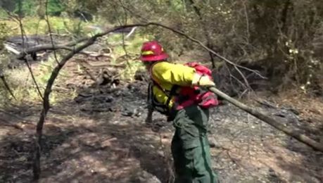 National preparedness level for fire danger increased