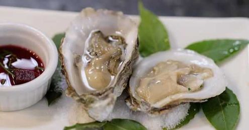 Vibrio Bacteria Death Shows Why You Should Beware Of Raw Oysters