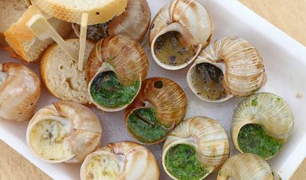 9 Adventurous Foods You Need to Try Before You Die