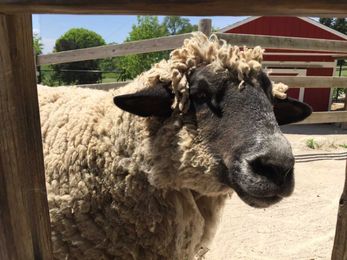 The ultimate bucket list before starting preschool