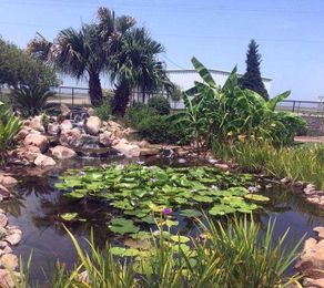 15 years of growing with ‘The Dirt’