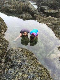 Where there’s dirt, there’s fun