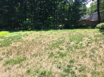 Why Your Lawn Looks Awful