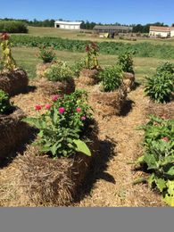 Master Gardener: These gardening experts never stop learning