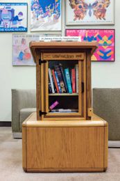 Small Wonders: 11 Facts About Little Free Libraries