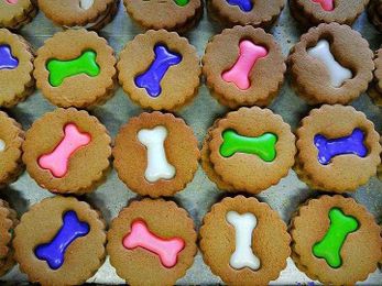 Buddy Gourmet: Clinton company caters to dogs — and the environment