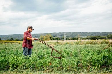 Small farmers are mixing old equipment with new tech