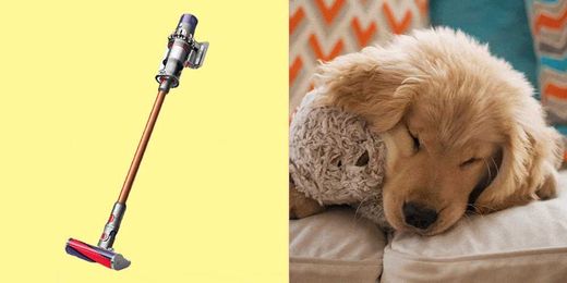 5 Vacuums That Will Suck Up Every Last Piece of Pet Hair