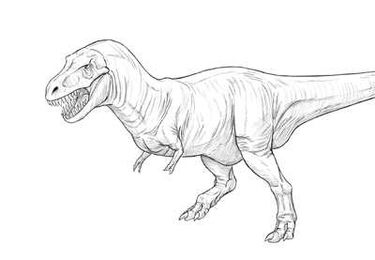How to Draw a T-Rex Dinosaur