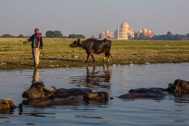 10 Places to Visit Around Agra Beyond the Taj Mahal