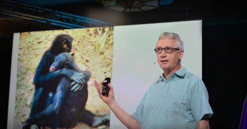 The surprising science of alpha males