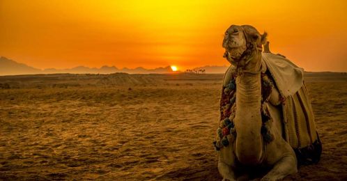 4 Places in the Middle East You Didn’t Know You Need to Visit