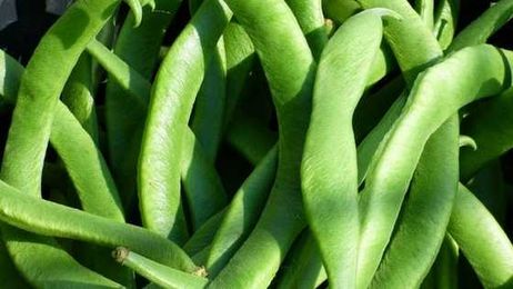 How to Cook Runner Beans Quickly and Easily
