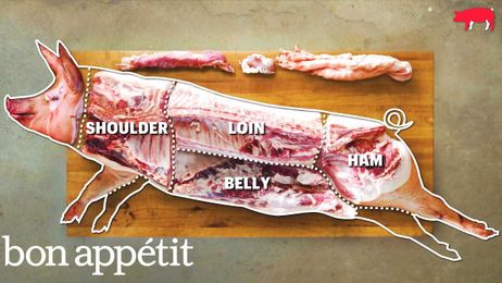 How to Butcher an Entire Pig: Every Cut of Pork Explained