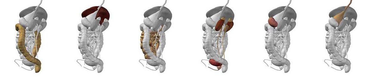 The 9 Colonic Irrigation Benefits [+ Why Colonic's Work]