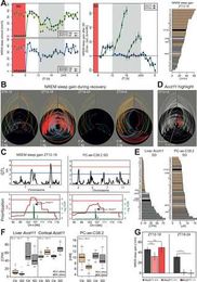 A systems genetics resource and analysis of sleep regulation in the mouse
