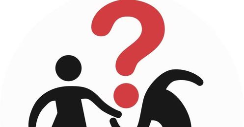 I Have to Ask: Do You Own a Gun?