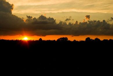 To Be a Friend to a Survivor of Child Sexual Abuse