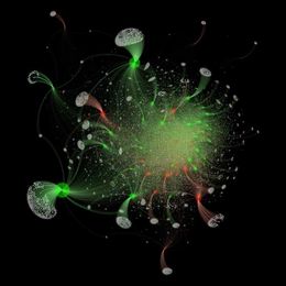 Applying physics of gels to help understand formation of terrorist groups