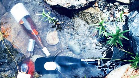 Chilled red wines: how to choose them, cool them, and drink them