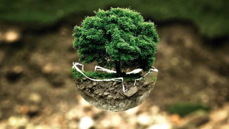 Environmental Responsibility and a Better Quality of Life
