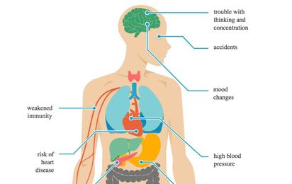 This interactive map shows how sleep deprivation affects your body