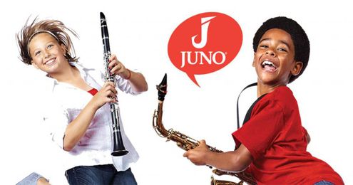 A Specially Designed Reed For Your Beginners