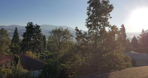 Clearing Things Out: What to Do When The Air Clears