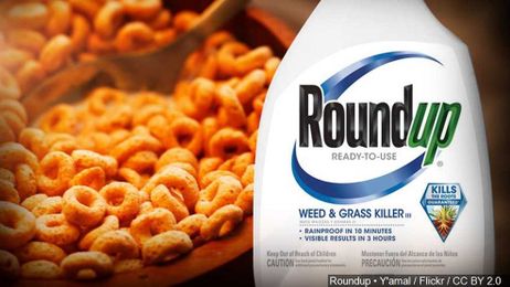 Environmental group says weed-killing chemical found in some children's foods 