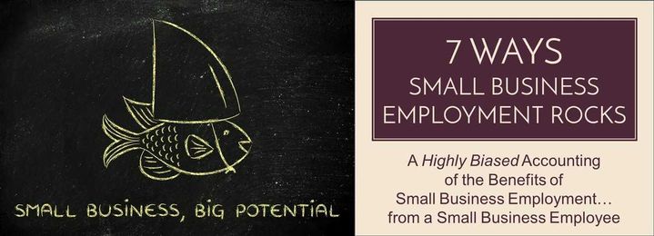 7 Ways Small Business Employment Rocks