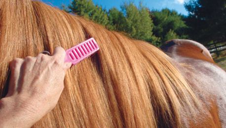 Dos and Don'ts for Tangles