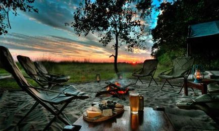 7 Beers Perfect for Camping (Cool Material)