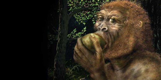 Delving into our 10 million-year relationship with booze