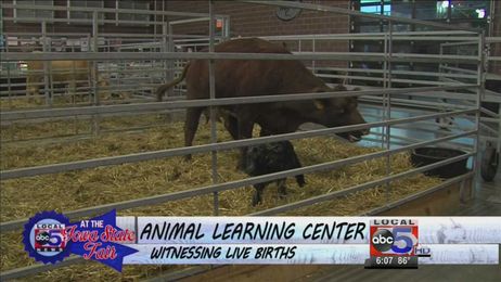 Animal Learning Center witnessing live births