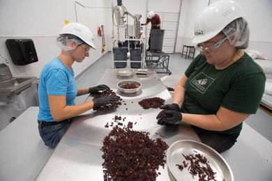 A mill of opportunity for Mountain Rose Herbs with new hands-on experience