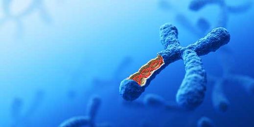 DNA testing: Is knowledge power?