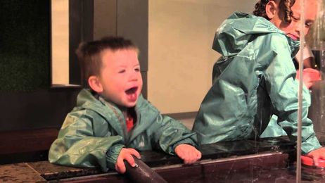 Are you smarter than an elementary schooler?