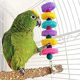 Caring for your Bird: A Checklist