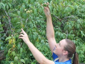 Collect these tips for safe foraging