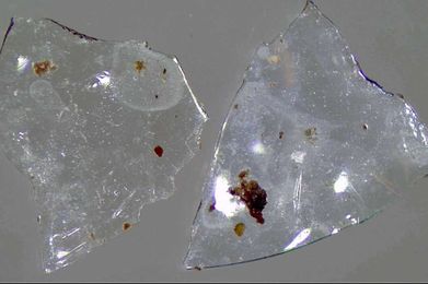 Flushing contact lenses down the sink? You're part of a growing problem.