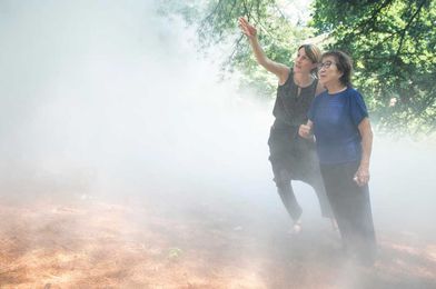 Mysterious And Magical: Fog Sculptures Are Rolling Through The Emerald Necklace