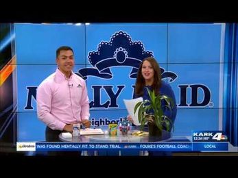 Back to School Tips Cleaning Tips from Molly Maid