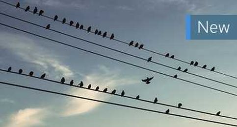 Building Connections Through Better Dialing